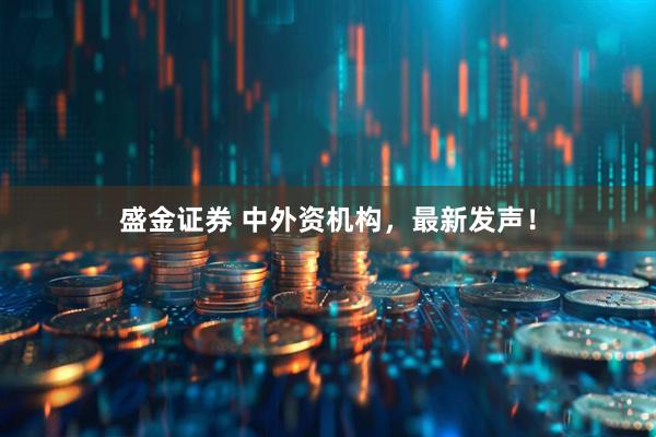 盛金证券 中外资机构，最新发声！