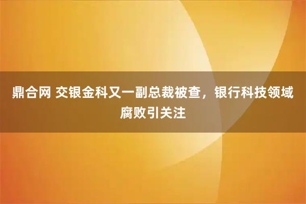 鼎合网 交银金科又一副总裁被查，银行科技领域腐败引关注